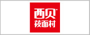 2023长塑简介PPT LOGO