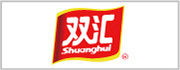 2023长塑简介PPT LOGO