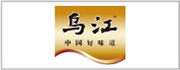 2023长塑简介PPT LOGO