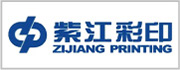 2023长塑简介PPT LOGO